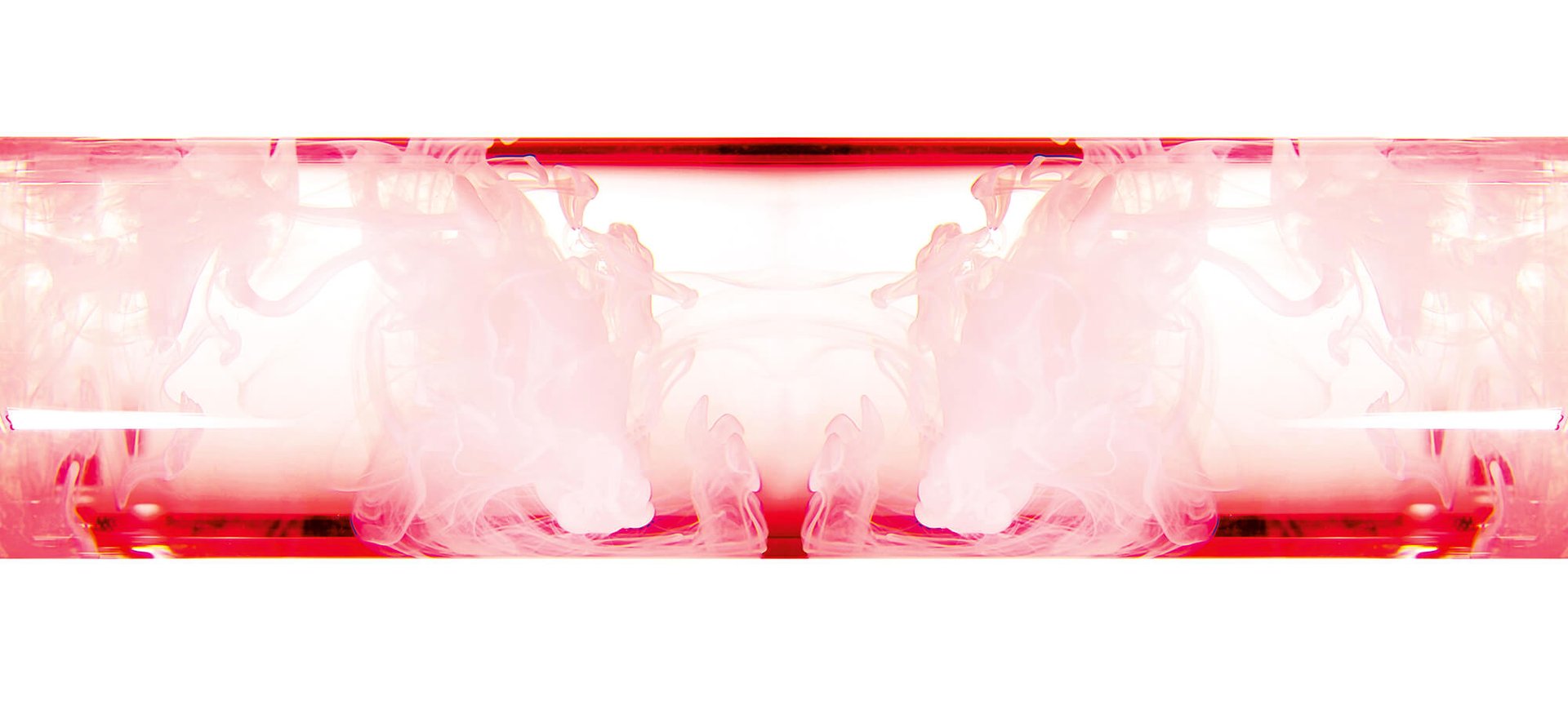 BANNERS PRO XYLANE 6